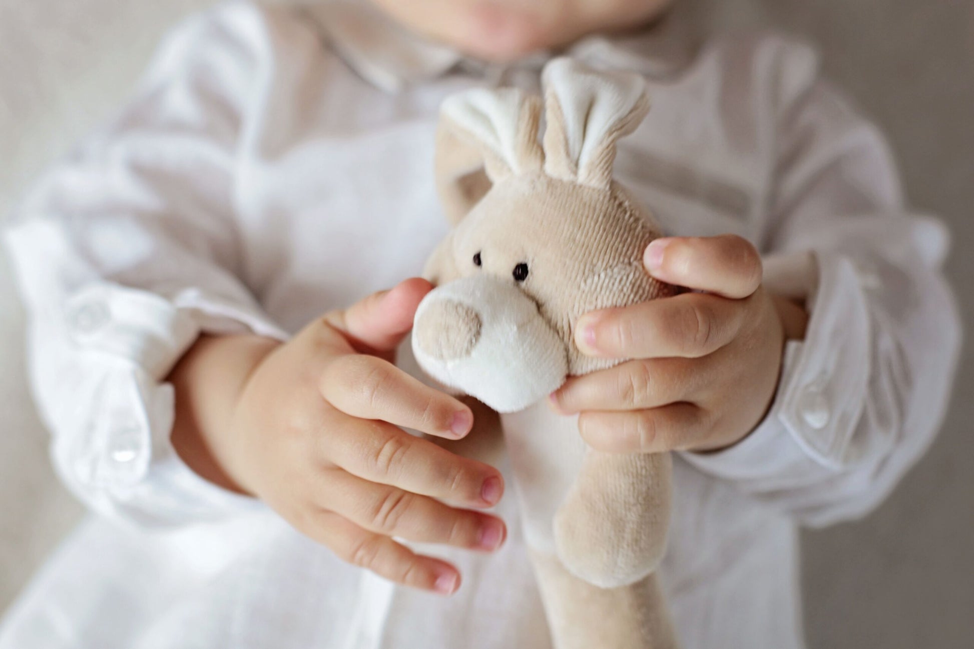 Grabulis Zaķis, Rattle Toy Bunny, Wooly Organic, WO203