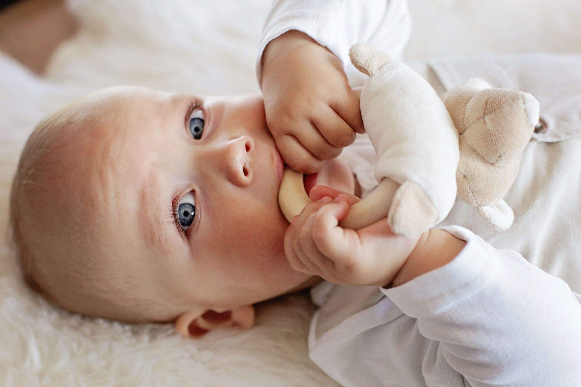 Grabulis ar graužammriņķi Zaķis, Rattle Toy Bunny with Teether, Wooly Organic, WO204