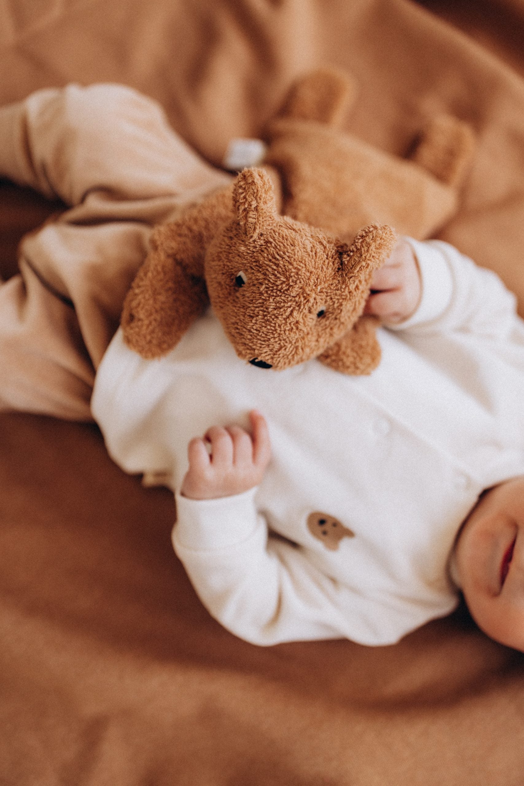 Sildošais spilventiņš Lācis, Heating Pad Teddy, Wooly Organic, T-905-T-117