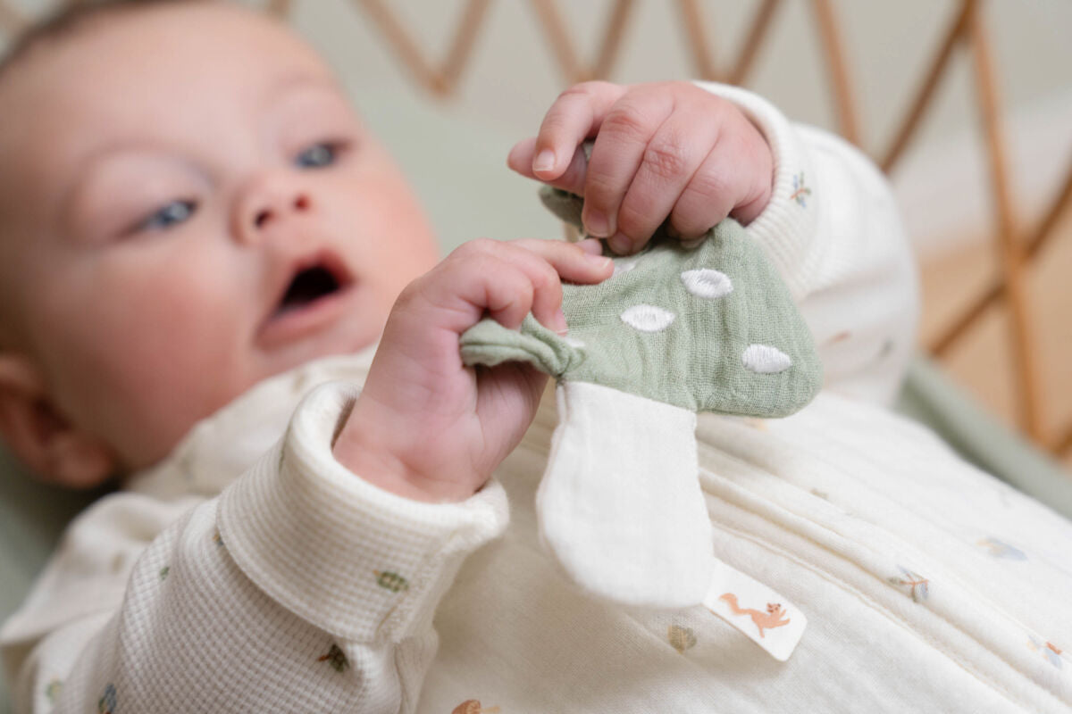 Mīļlupatiņa - knupīša turētājs Mushroom, Pacifier cloth muslin, Little Dutch, TE21204030