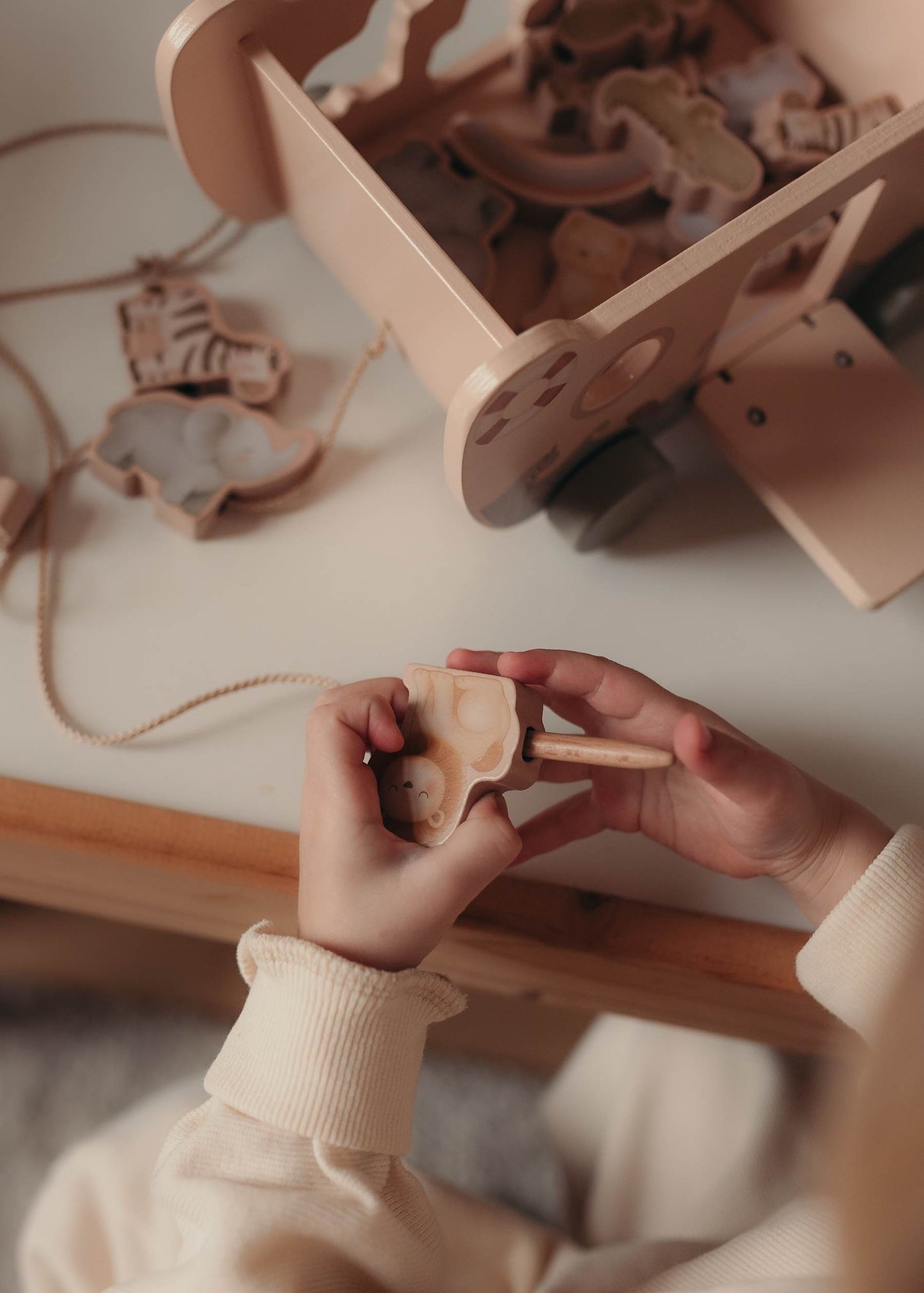 Koka spēle Noa Šķirsts - Buddy Boat Wood Toy, Mrs. Ertha