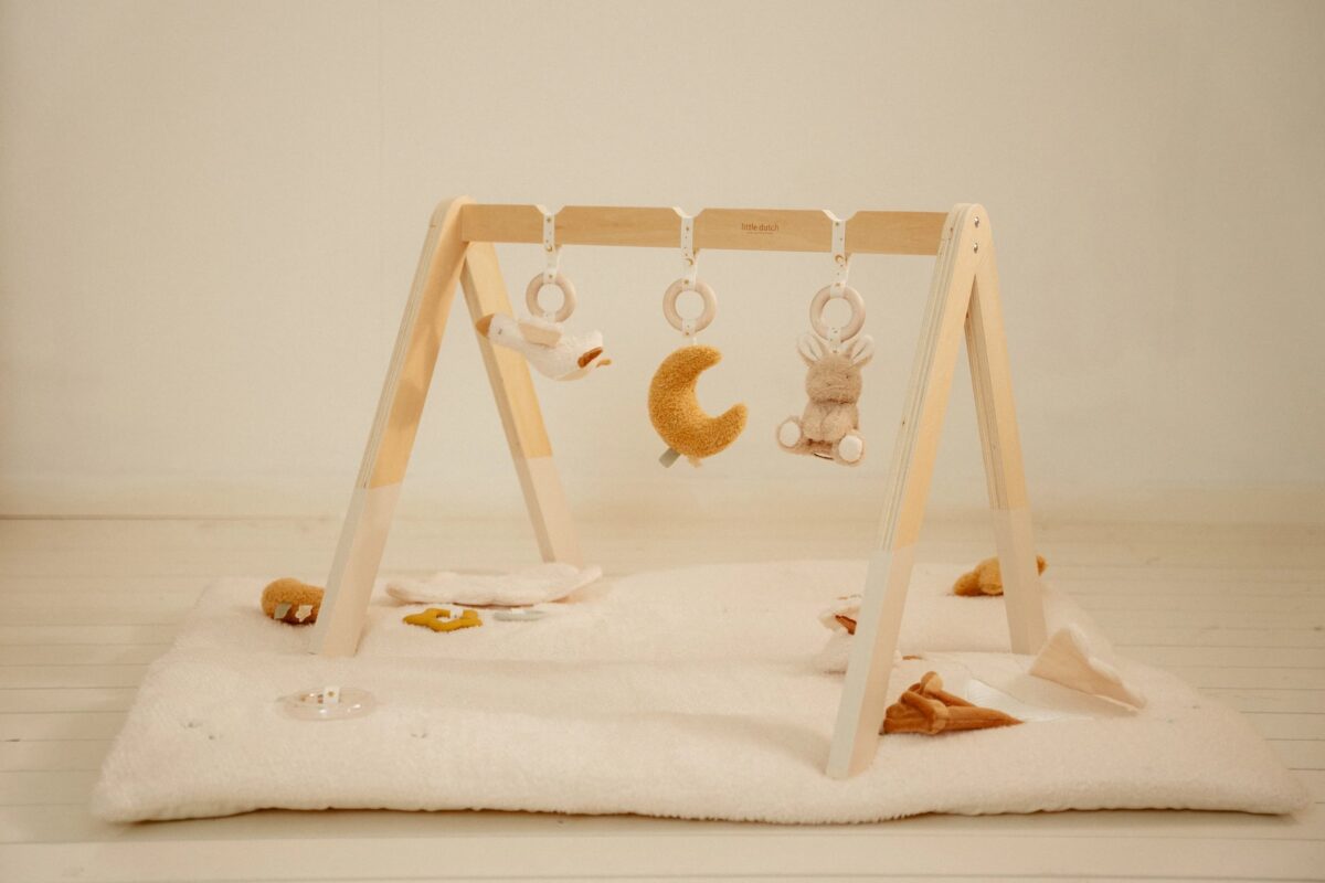 Aktivitāšu statīvs, Baby Gym Newborn Naturals, Little Dutch