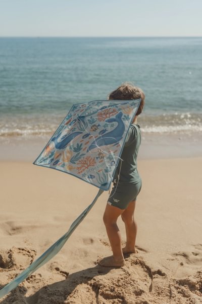 Vēja pūķis Ocean World Kite Blue, Little Dutch, LD2016367, rocketbaby.lv