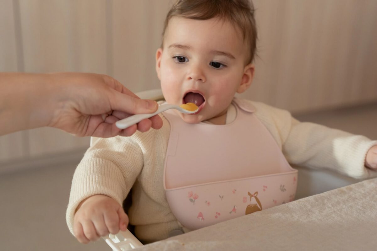 Silikona lacīte, Silicone Bib Fairy Garden, Littke Dutch