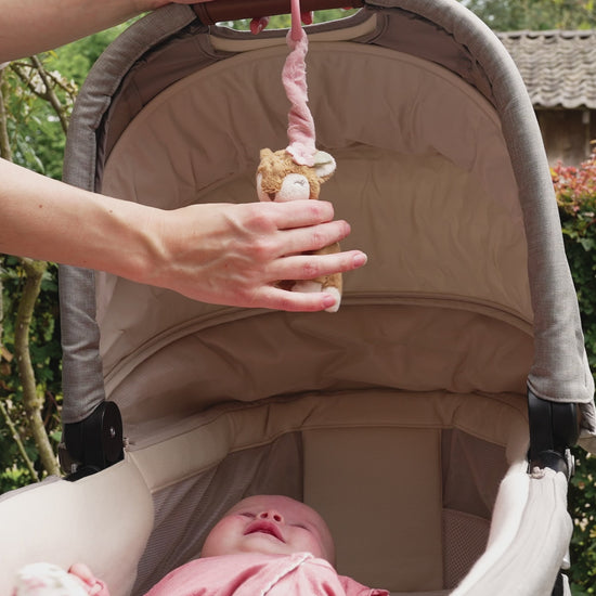 Vibrējoša rotaļlieta, Pull-and-shake Fairy Garden, Little Dutch, LD9013