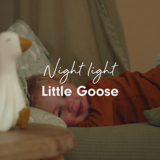 Video - Little Dutch naktslampiņa Little Goose Night lamp, 121010