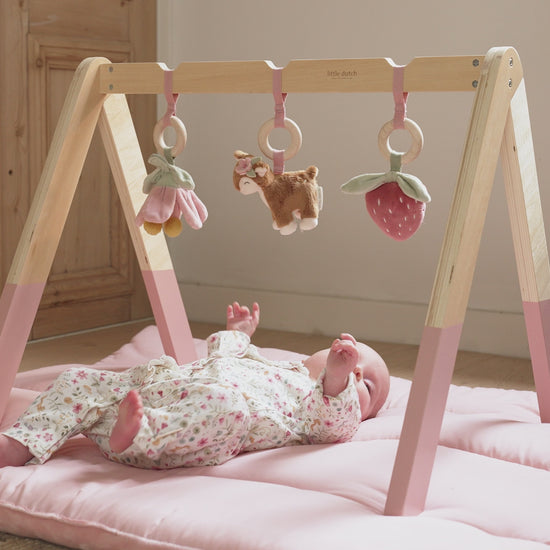 Video - Aktivitāšu statīvs, Baby Gym Fairy Garden, Little Dutch, LD9010