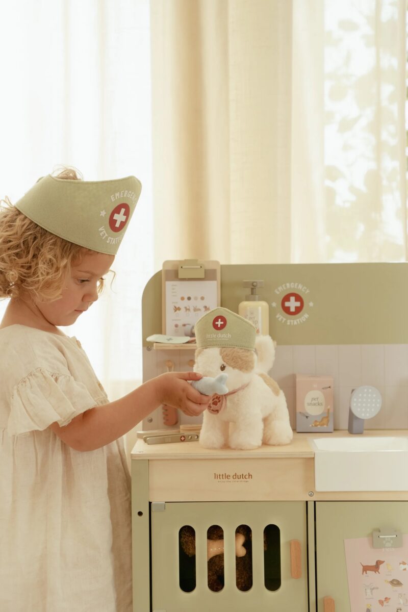 Koka veterinārā klīnika, Veterinary Practice, Little Dutch