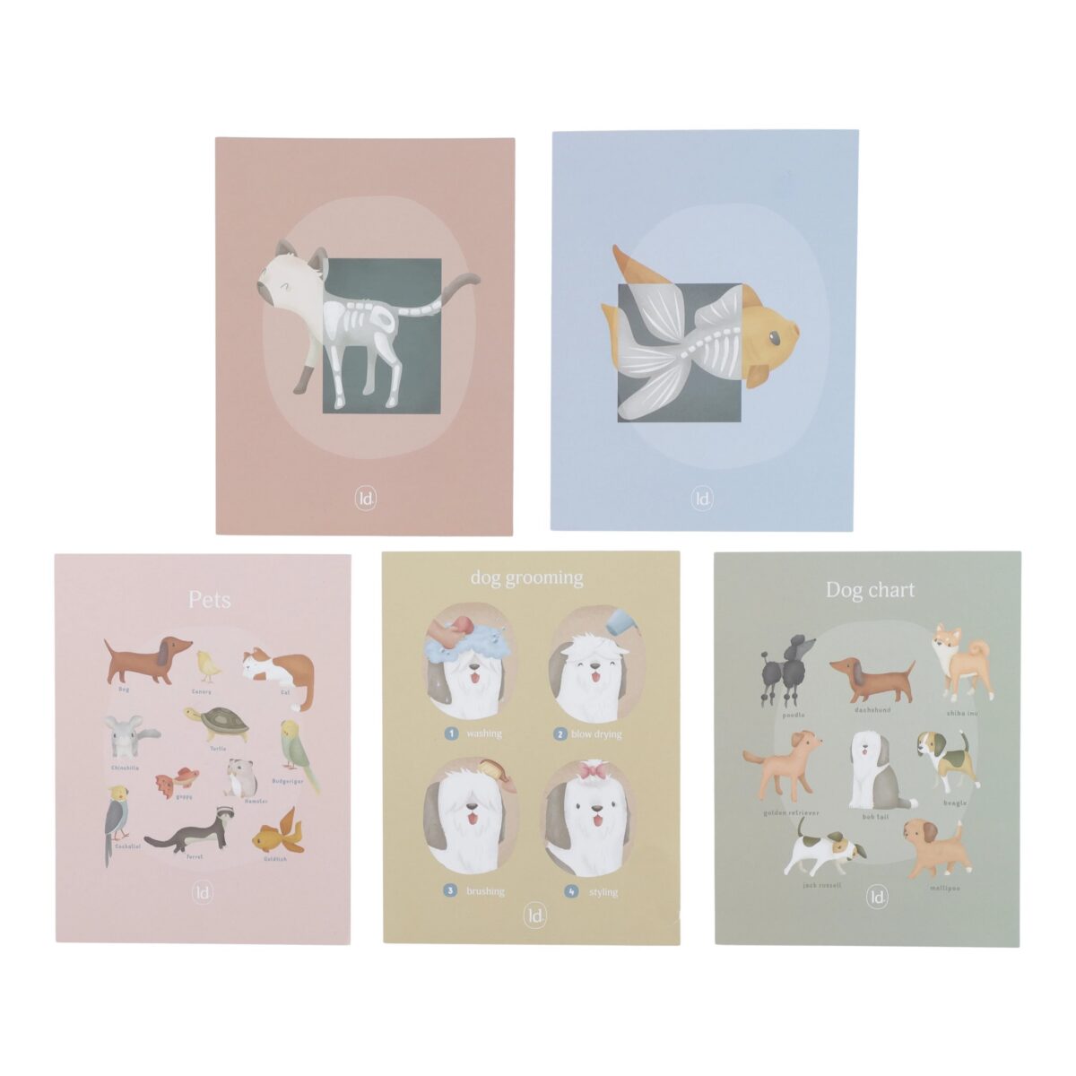 Koka veterinārā klīnika, Veterinary Practice, Little Dutch
