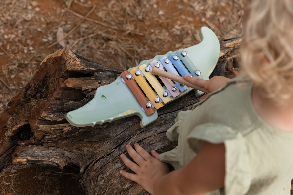 Koka ksilofons, zaļš, Xylophone - Crocodile Safari Friends, Little Dutch, ld7475