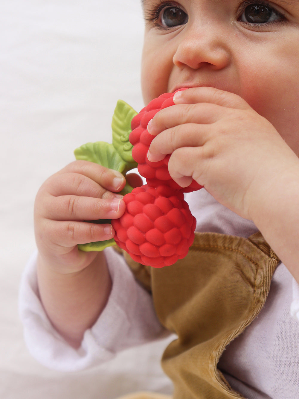 Valery the Raspberry, Oli&Carol, avenes
