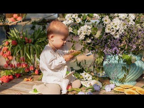 Video - Graužammantas Oli&Carol - Garden Collection